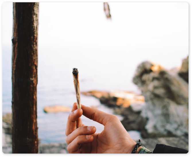 Hand Holding A Cannabis Cigarette